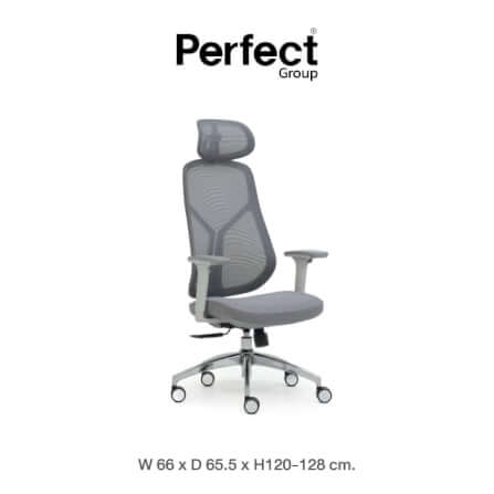 เก้าอี้ทำงานเพื่อสุขภาพ Perfect SWAN SERIES รุ่น 503AG สีเทา_0